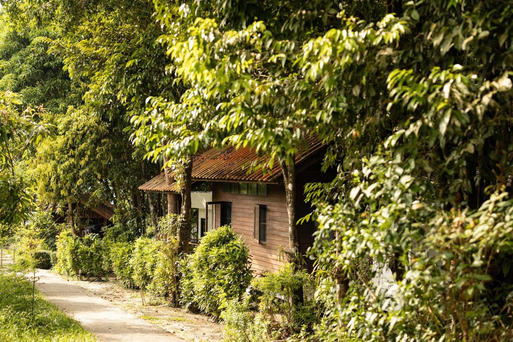 Barefoot Project Formerly Baan Klong Kleng Koh Phayam Zewnętrze zdjęcie
